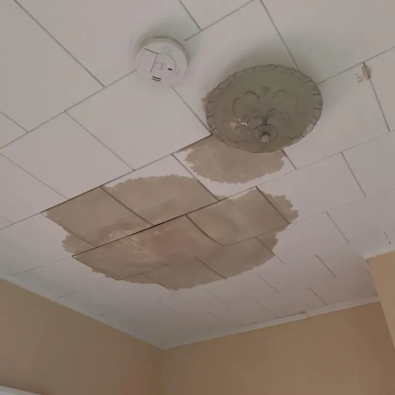 Ceiling Water Damage Repair in Lexington, NE