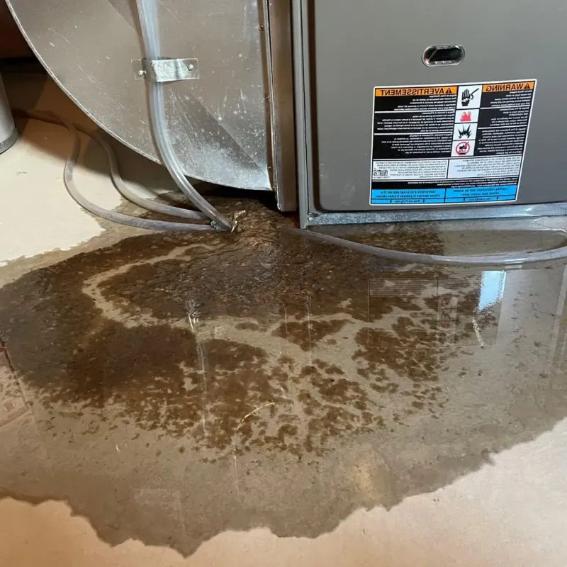 Pipe Burst and Leak Restoration in Lexington, NE
