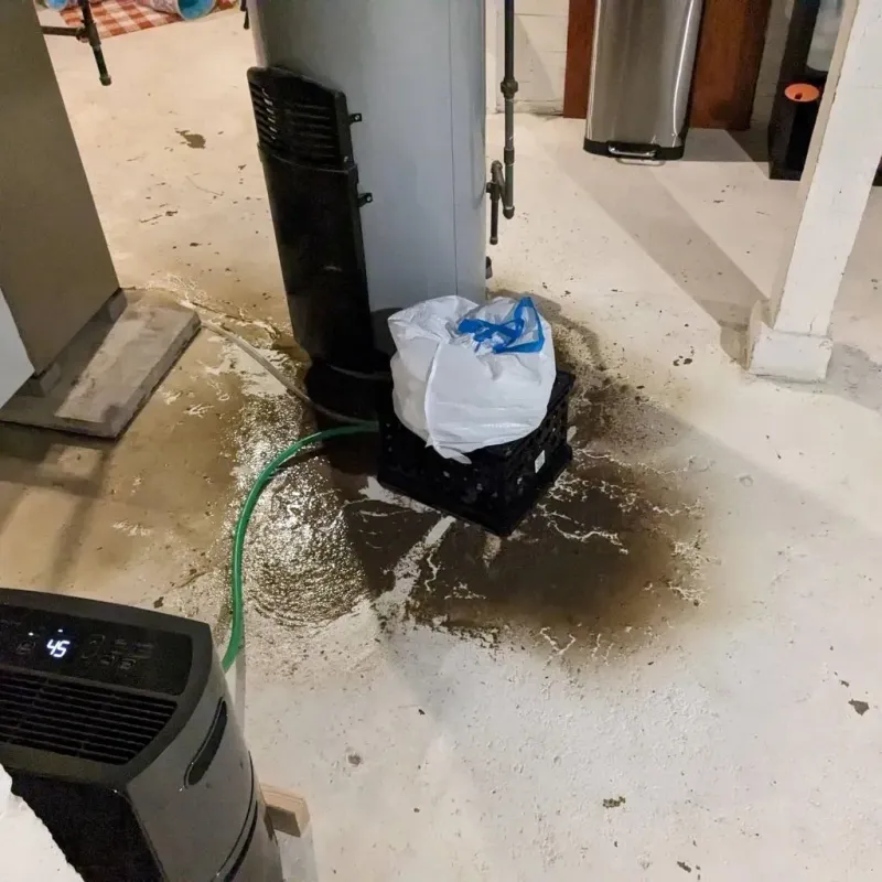Sewage Backup Cleanup Service in Lexington, NE